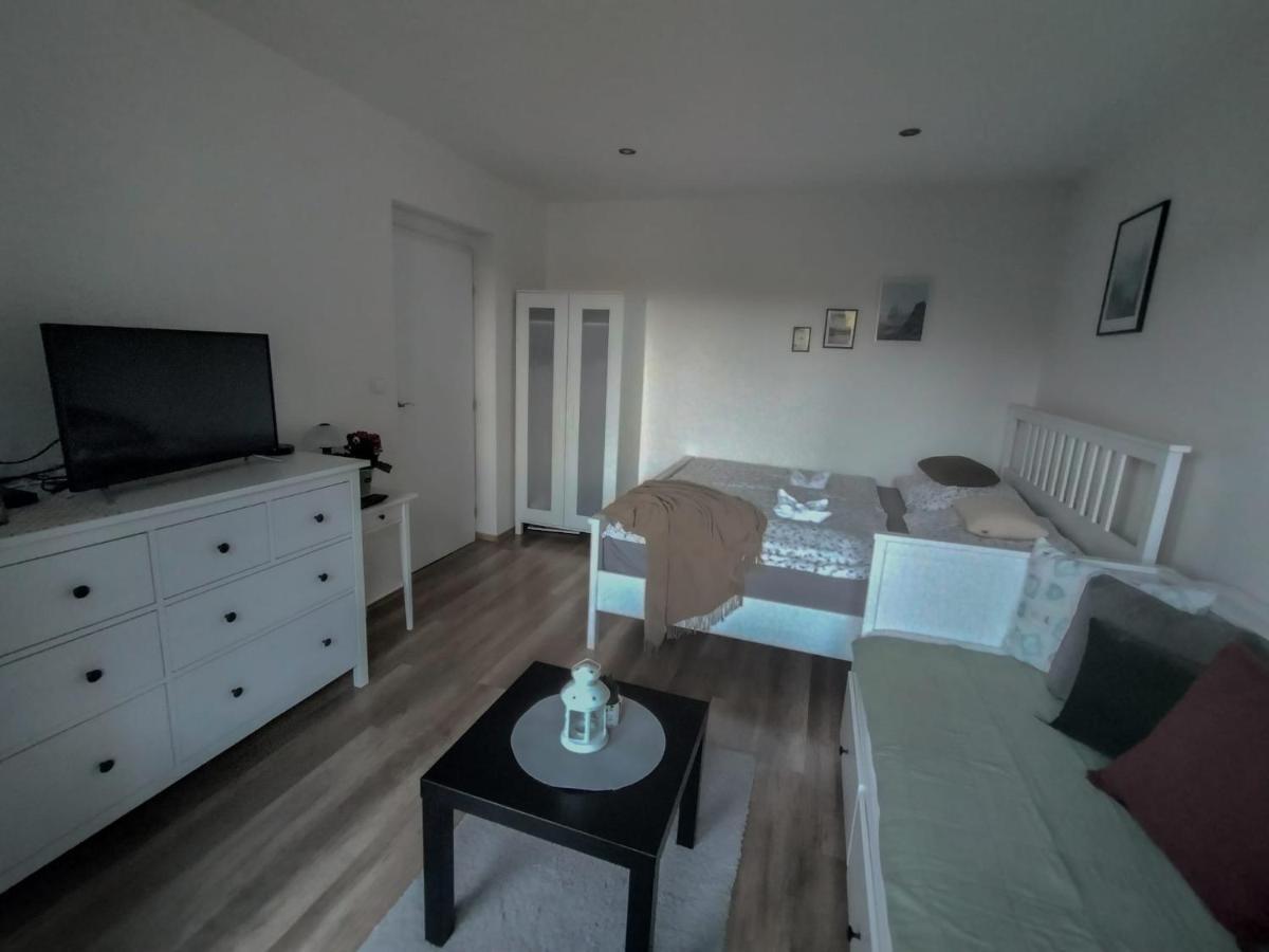 Apartmanek Protez 잔스케라즈네 외부 사진