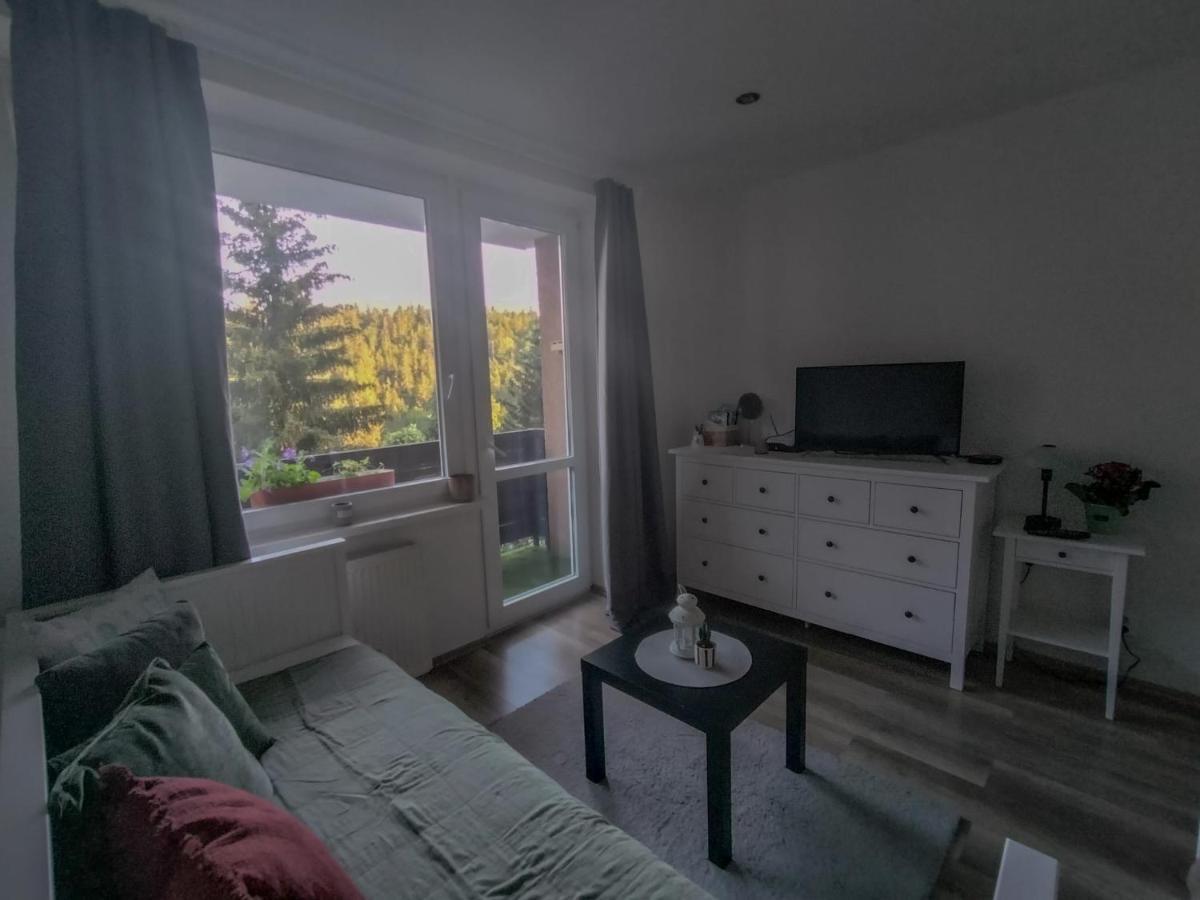 Apartmanek Protez 잔스케라즈네 외부 사진