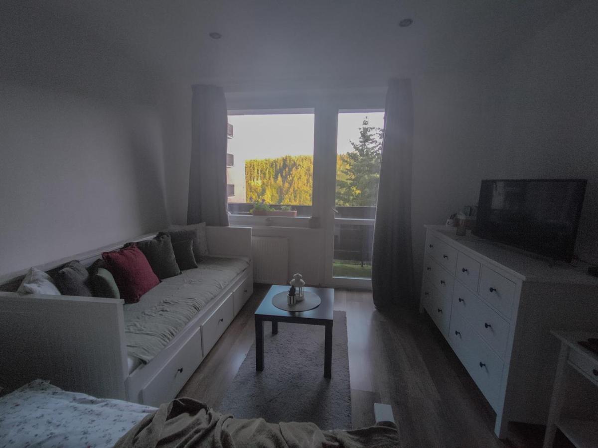 Apartmanek Protez 잔스케라즈네 외부 사진