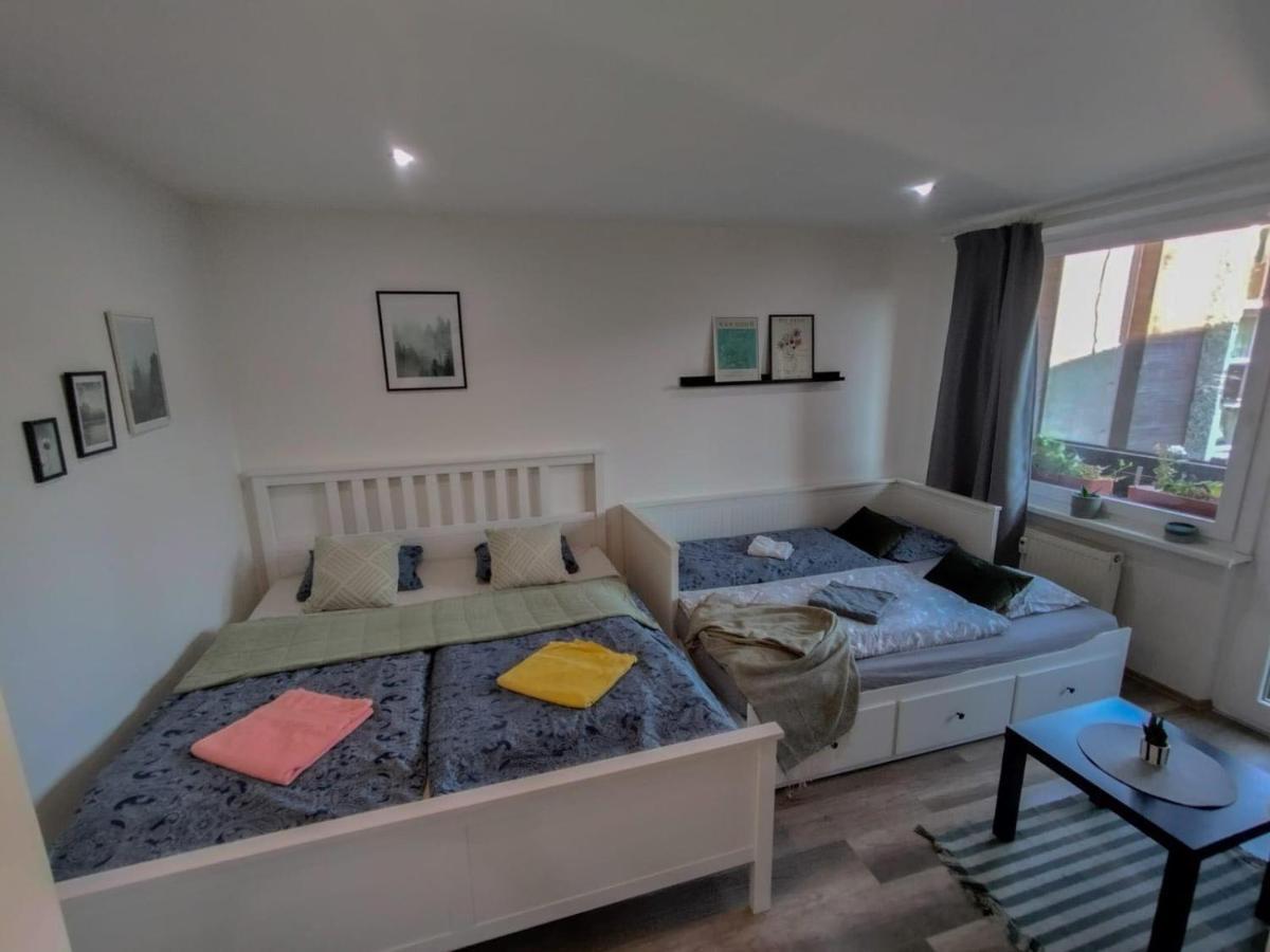 Apartmanek Protez 잔스케라즈네 외부 사진